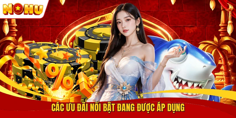 Khuyến Mãi NOHU90 - Ưu Đãi Thiết Thực Cho Hội Viên